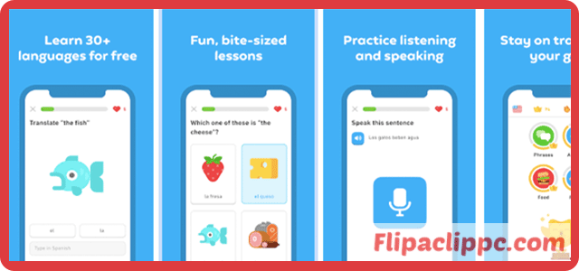 Duolingo Download for PC Windows 10/8.1/8/7 & Mac Free