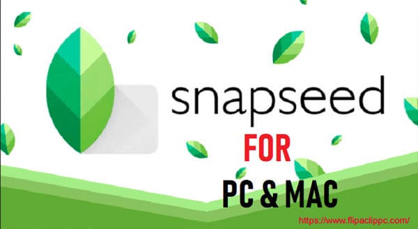snapseed for pc