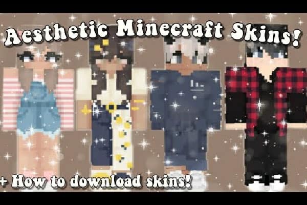 Skinseed For Windows