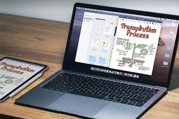 GoodNotes for Mac.